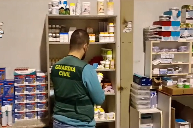 Al menos un detenido en Cartagena por transportar caballos ‘sin papeles’ desde Bélgica para venderlos a Libia y Líbano