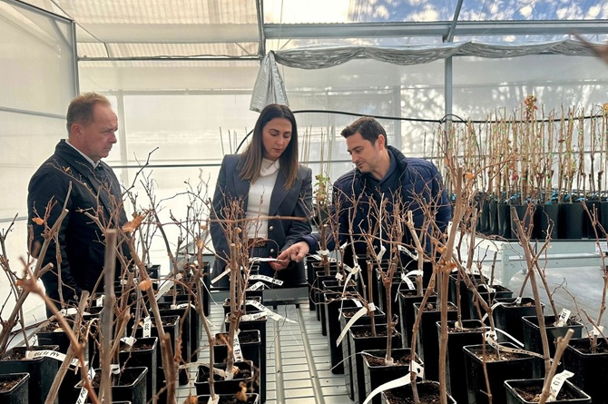 La consejera Sara Rubira en el nuevo invernadero &iacute;ntegramente dedicado a la vid
