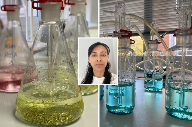 En el centro, la autora del trabajo, Daniela Angulo P&aacute;ez