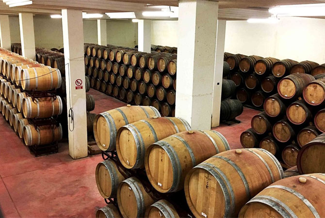 Una de las últimas inversiones de la empresa fue la construcción de un sótano para la crianza de vinos con 800 barricas de roble
