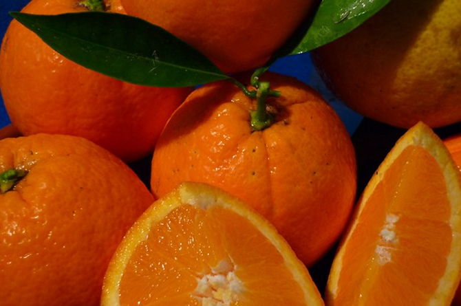 La UE detecta las primeras naranjas de Egipto con residuos de fitosanitarios prohibidos