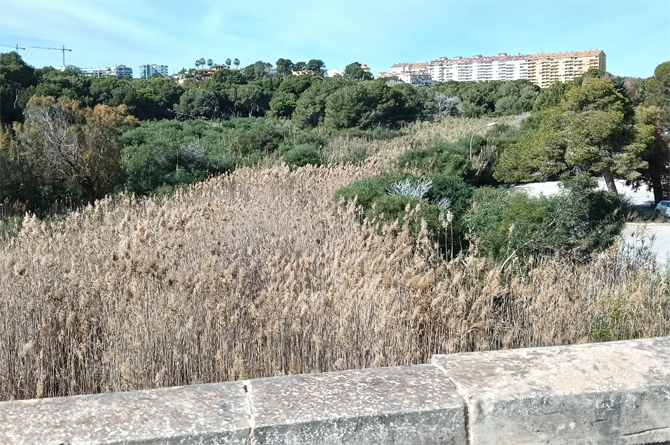 Los vecinos de la ‘murciana’ Campoamor, erre que erre contra el ayuntamiento 'silente' de Orihuela