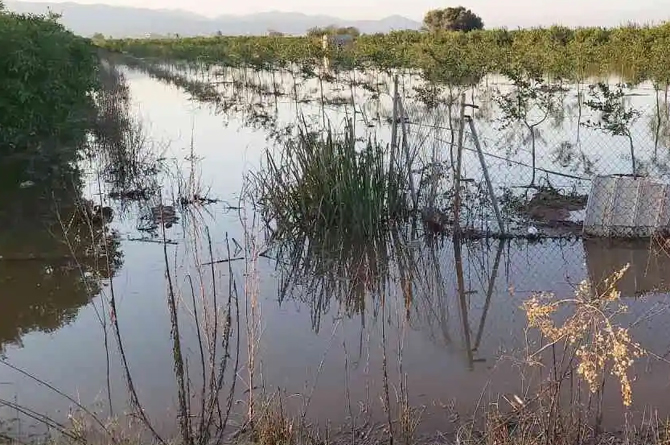 Campo de cultivo anegado por las lluvias