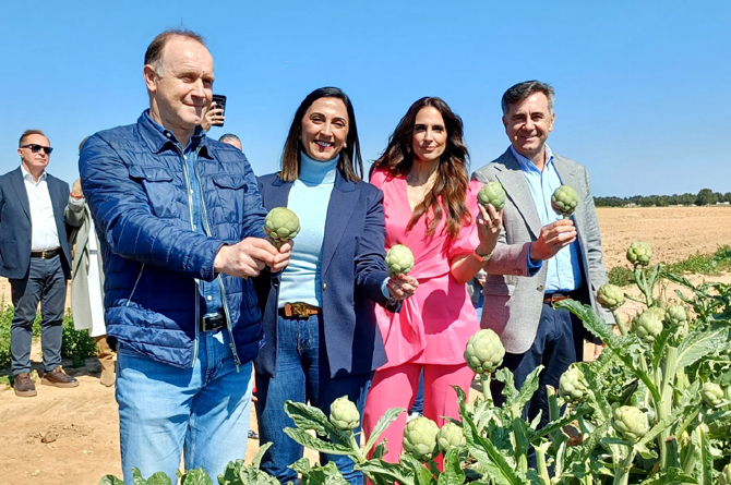 Los productores de alcachofa verán reducida su prima del seguro