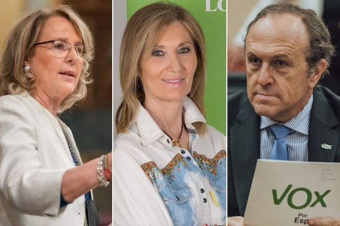 Amores, desamores, odios, rencillas y envidias… la intrahistoria de la conspiración contra Antelo en Vox