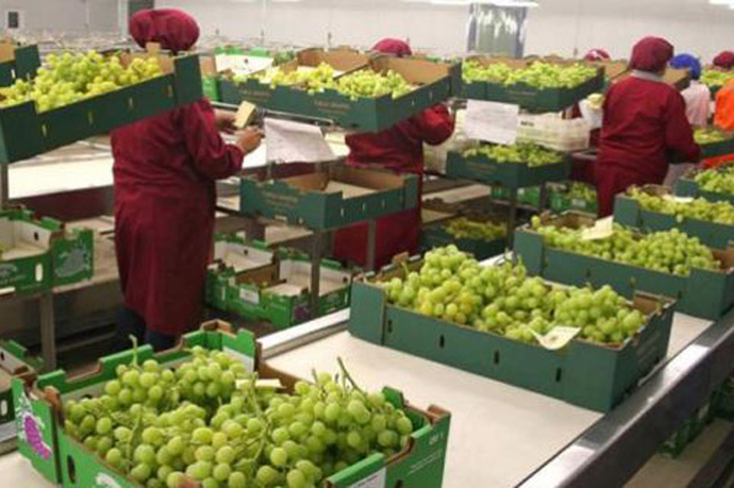 Las exportaciones se mantendrán como el primer activo económico regional Las exportaciones se mantendrán como el primer activo económico regional