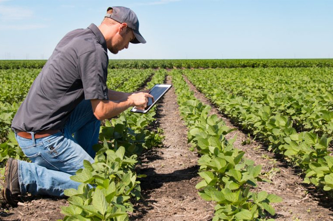 La agricultura, único sector que perdió trabajadores autónomos en marzo