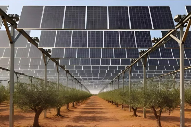 Nefer Power le gana una batalla judicial al ayuntamiento de Cartagena y reanudará dos plantas agrovoltaicas en Los Belones