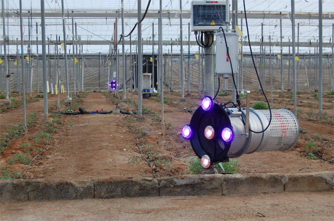 Biocaptur es uno de los desarrollos realizados por la startup murciana, dise&ntilde;ado para controlar las plagas de Tuta absoluta