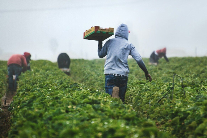 Cepaim aplaude la regularización extraordinaria aprobada por el Gobierno