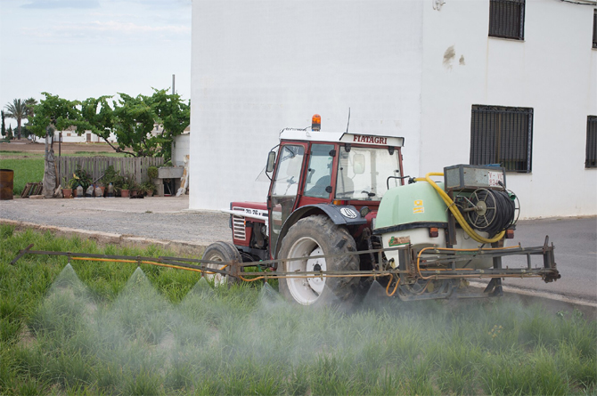 El campo grita a Europa: los agricultores se quedan sin herramientas contra las plagas