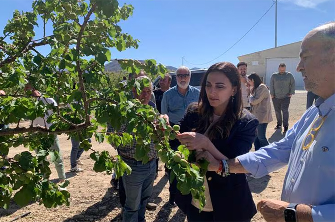 La consejera de Agricultura, Sara Rubira, durante una reciente visita a una finca afectada por el pedrisco