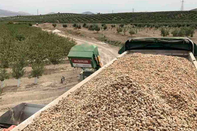 Camión cargado de almendras