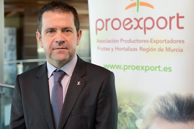 Juan Marín, expresidente de Proexport, ahora al frente de la sectorial de brásicas de Fepex