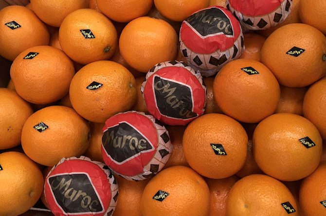 Partida de naranjas marroquíes