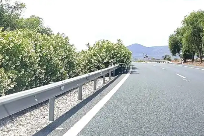Adelfas en el entorno de una carretera. En la Región fueron eliminadas las que había en la mediana en la autovía Murcia-Cartagena