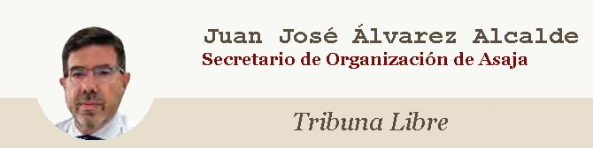 Juan José Álvarez Alcalde