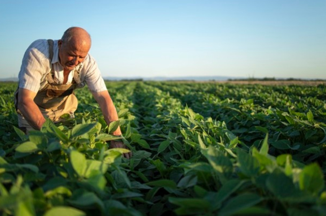 Hacienda publica la reducción de módulos para 800.000 agricultores y ganaderos
