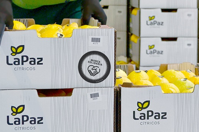 Los concursos de acreedores no dan tregua y en la Regi&oacute;n aumentaron un 75% en abril