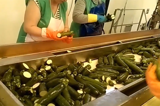 Trabajadoras de La Senda lavan y trocean calabacín para ser congelado
