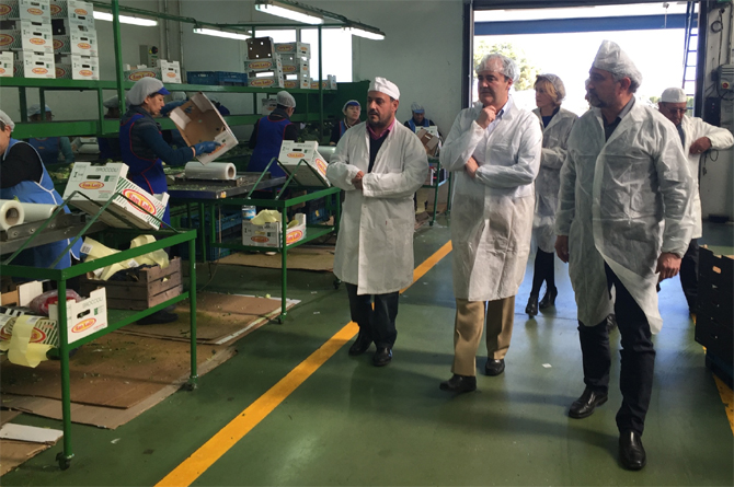 Imagen de una visita realizada en 2011 por el entonces director general de Mercados y Producciones Agrarias, Fulgencio Pérez (en el centro), a las instalaciones de Hortalizas San Luis