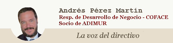 Andrés Pérez Martín