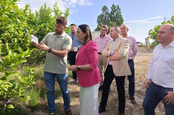 La consejera de Agricultura, Sara Rubira, en unos de los campos de cultivo de limón que participan en el proyecto