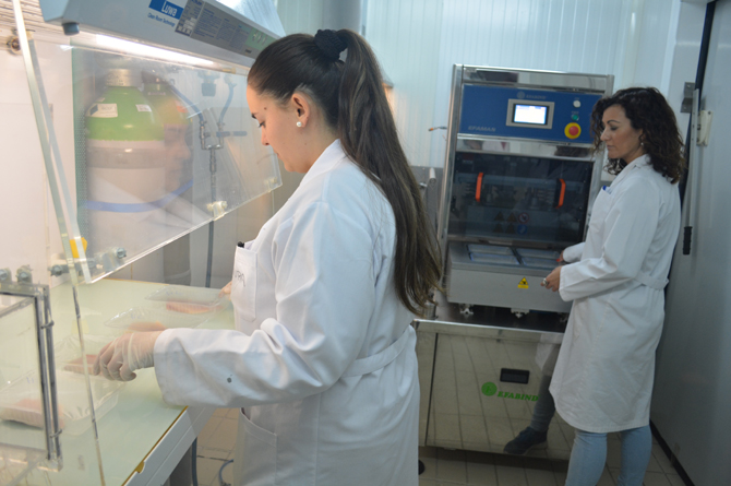 Imagen de una investigaci&oacute;n de la UPCT con la que patent&oacute; un m&eacute;todo para alargar la vida &uacute;til de pescado y carne envasada