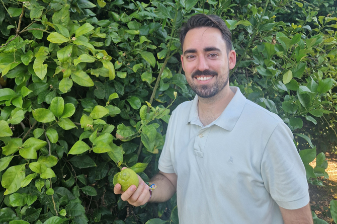 Producir limones con menos agua es posible