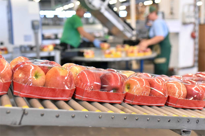 Las exportaciones hortofrutícolas siguen a la baja