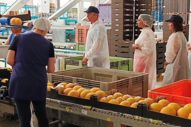 La consejera Sara Rubira en la visita a las instalaciones de procesado de melón de Medifruver