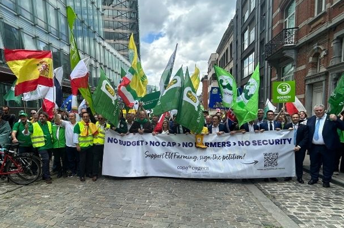 Imagen de las protestas celebradas este jueves en Bruselas por parte de agricutores de la UE