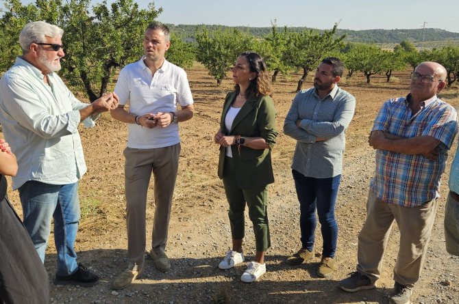 Imagen de la consejera Sara Rubira en una finca de almendros de Caravaca de la Cruz con cultivos de almendros afectados por la sequía