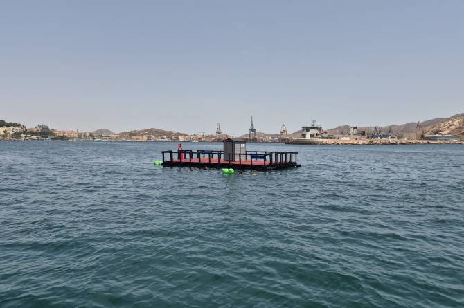 La UPCT instala una plataforma flotante en Cartagena para ensayar energías marinas
