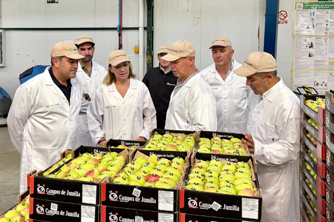 Agricultura aumenta un 18% las ayudas a los Productores de Frutas y Hortalizas (OPFH) hasta los 89,7 M€