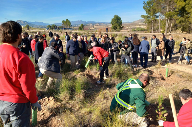 El Ministerio ‘homologa’ el bosque de 6,9 hectáreas de Disfrimur en Calasparra