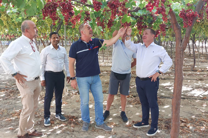 Productores foráneos en la finca 'Cuatro Vientos'
