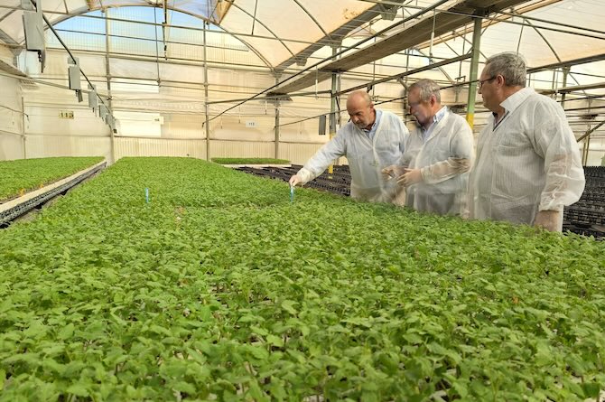 El secretario general de la consejería de Agricultura, Francisco González Zapater, en la visita a Viveros La Sala