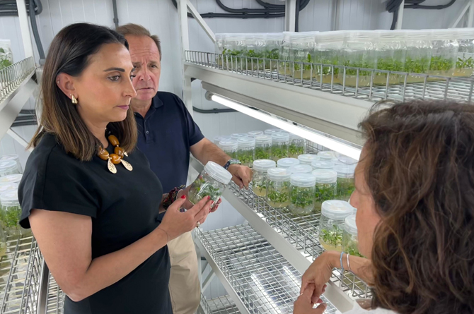 La consejera Sara Rubira en el laboratorio del Imida en el que se realiza la investigación