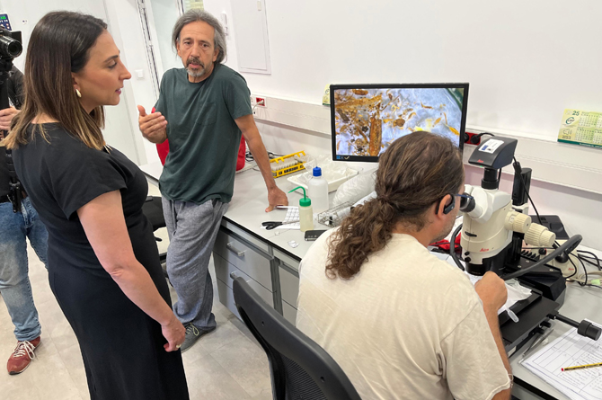 Sara Rubira, en el laboratorio del Imida en el que se investigan técnicas para combatir el trips exótico que afecta el pimiento en invernadero
