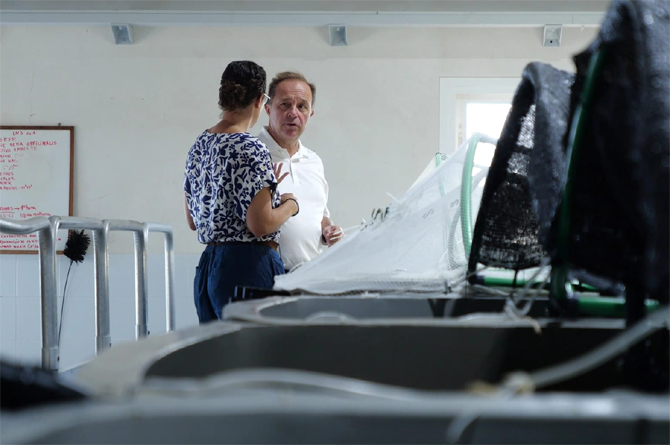 Tanques de crianza de alevines en las instalaciones del Imida en San Pedro del Pinatar