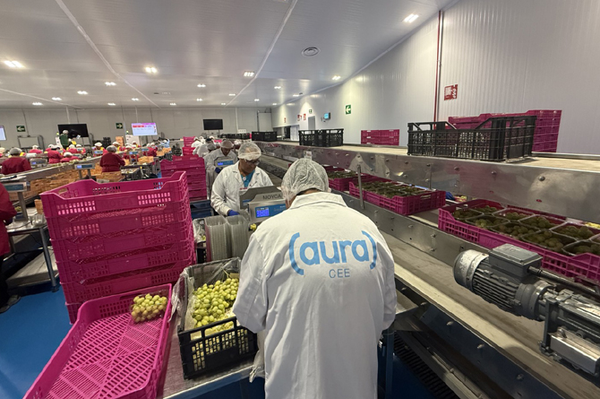 Un trabajador del centro de empleo Moyca en uno de los almacenes de Moyca