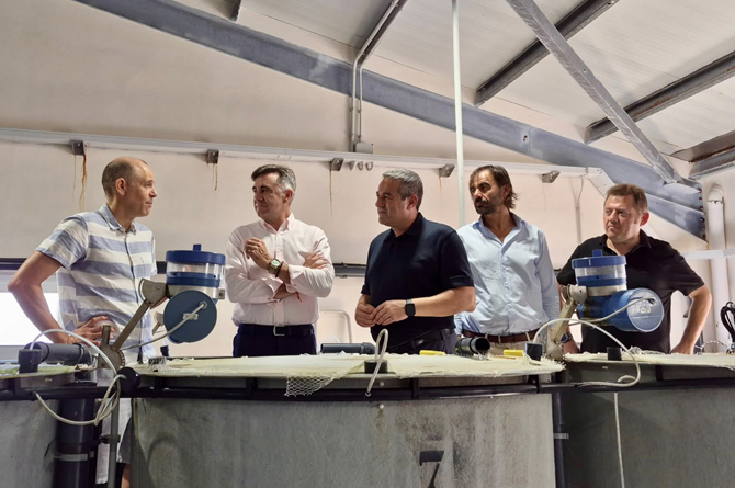 Residuos de la cerveza para alimentar a mújoles