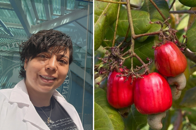 La doctora Carina Guti&eacute;rrez Paz. A la derecha, la &lsquo;manzana de mara&ntilde;&oacute;n&rsquo; de la que cuelgan los anacardos