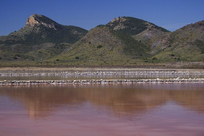 Las Salinas del Rasall en el Parque Regional de Calblanque, Monte de las Cenizas y Pe&ntilde;a del &Aacute;guila