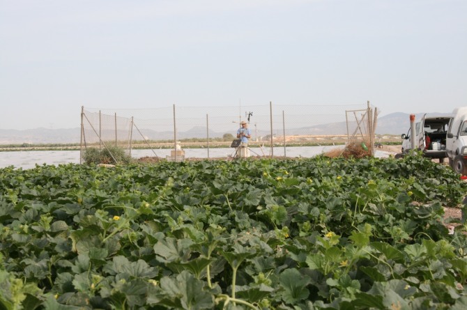 Estaci&oacute;n del Sistema de Informaci&oacute;n Agrario de Murcia en Cieza (CARM)