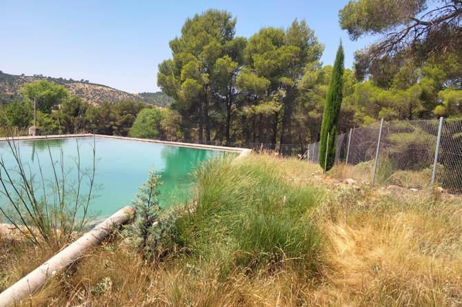 Balsa que suministra agua al reservorio de plantas aromáticas