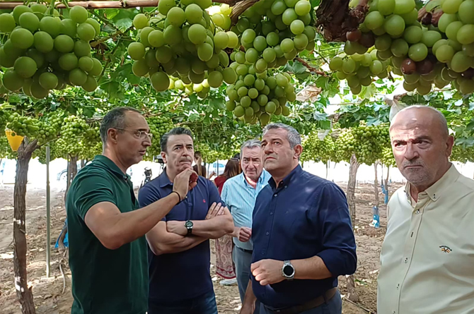 El consejero Joaqu&iacute;n Buend&iacute;a en la visita a un cultivo de uva de mesa