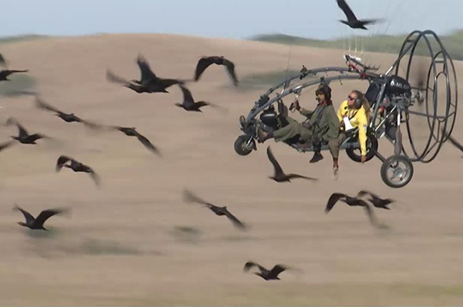 Manada de ibis eremita siguiendo el vuelo de un ultraligero. Imagen: Canal Sur