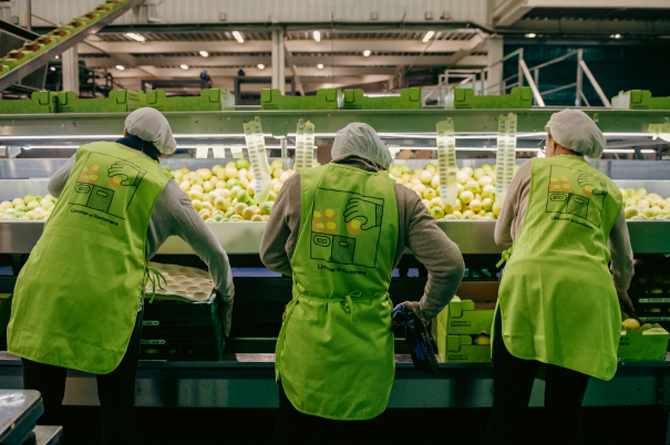 Trabajadoras de El limonar de Santomera